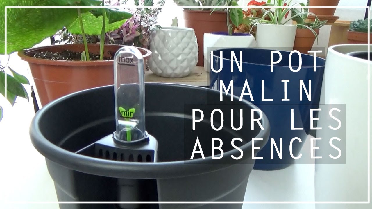 💦  ARROSAGE DE VACANCES #3 : LE POT QUI FAIT RÉSERVE D'EAU ! SELF-WATERING INSERT PAR ELHO