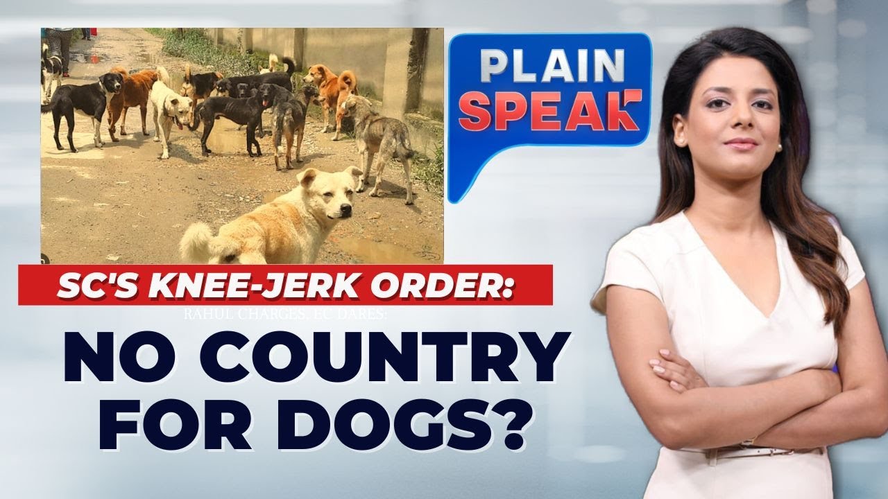 Supreme Court's Controversial Dog Order Sparks Outcry and Concerns Over Implementation #plainspeak