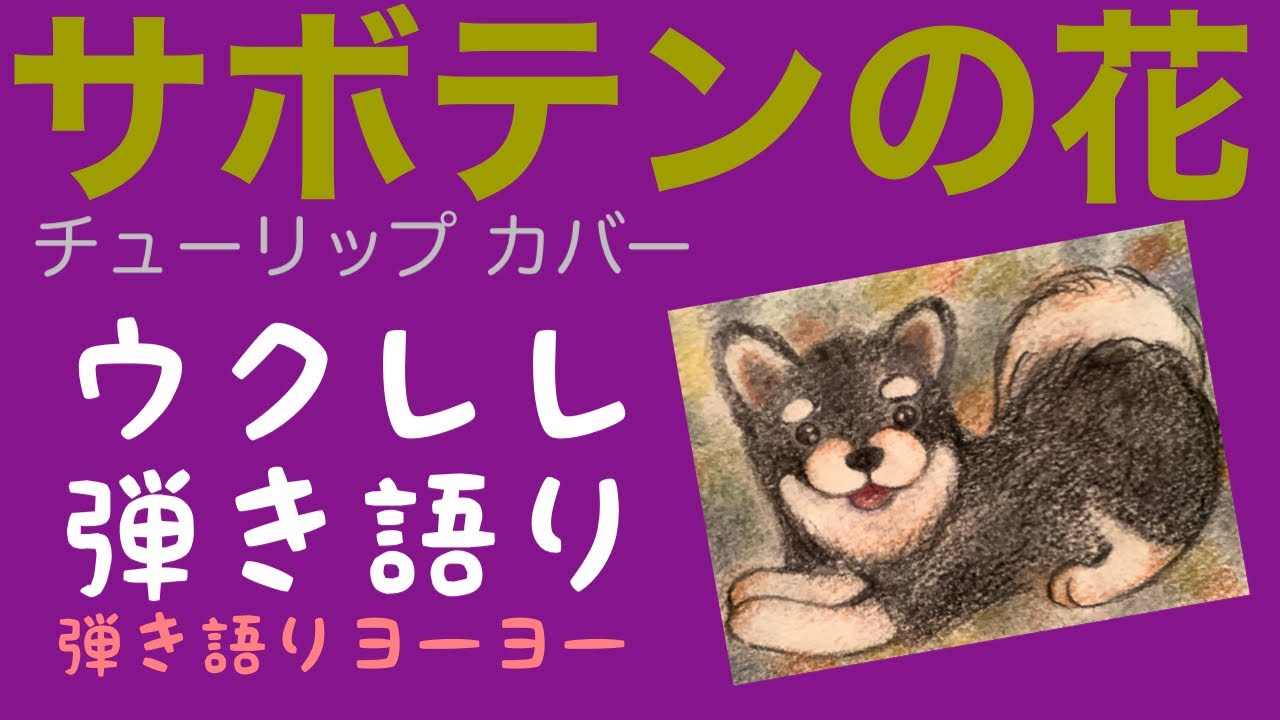 サボテンの花　チューリップ カバー　＠ウクレレ弾き語り