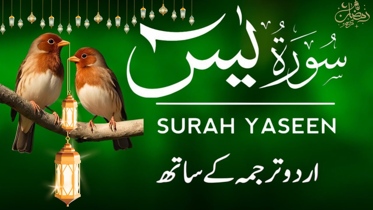 Surah Yaseen | Surah Yaseen With Urdu Translation | Al Furqan Studio | Ep119