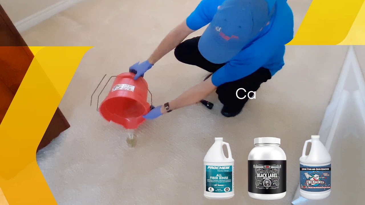 Pet Urine and Stain Treatment