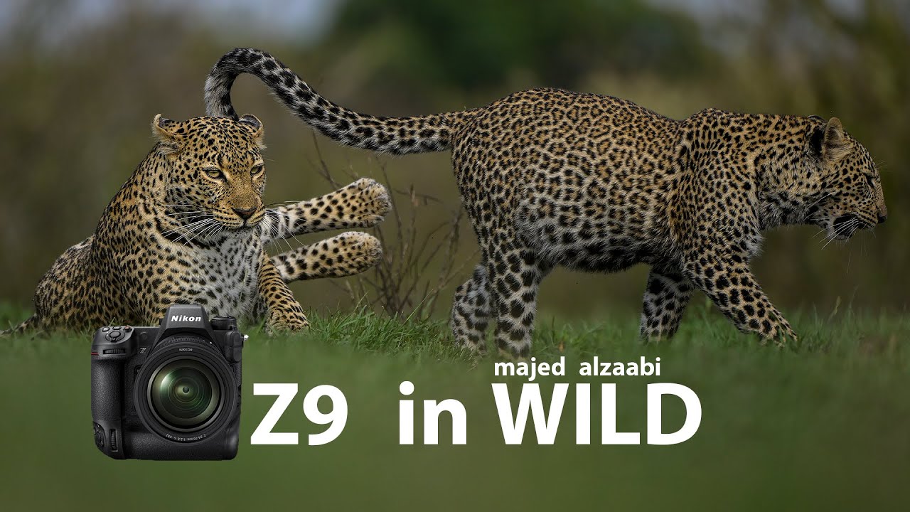 Nikon Z9 in wildlife - Kenya