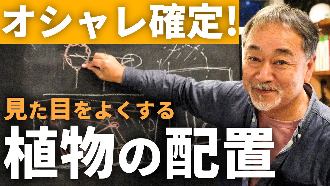 【これ押さえればOK】初心者でも植木の配置で失敗しない！オシャレに魅せるプロのテクニックを紹介【植栽】【ガーデニング】