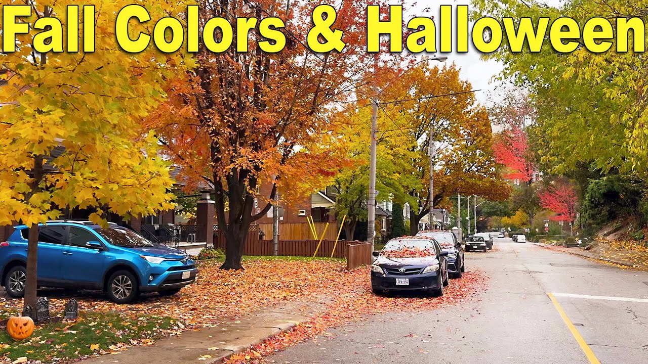 Beautiful AUTUMN Colors & Halloween Decorations in Toronto Neighborhood