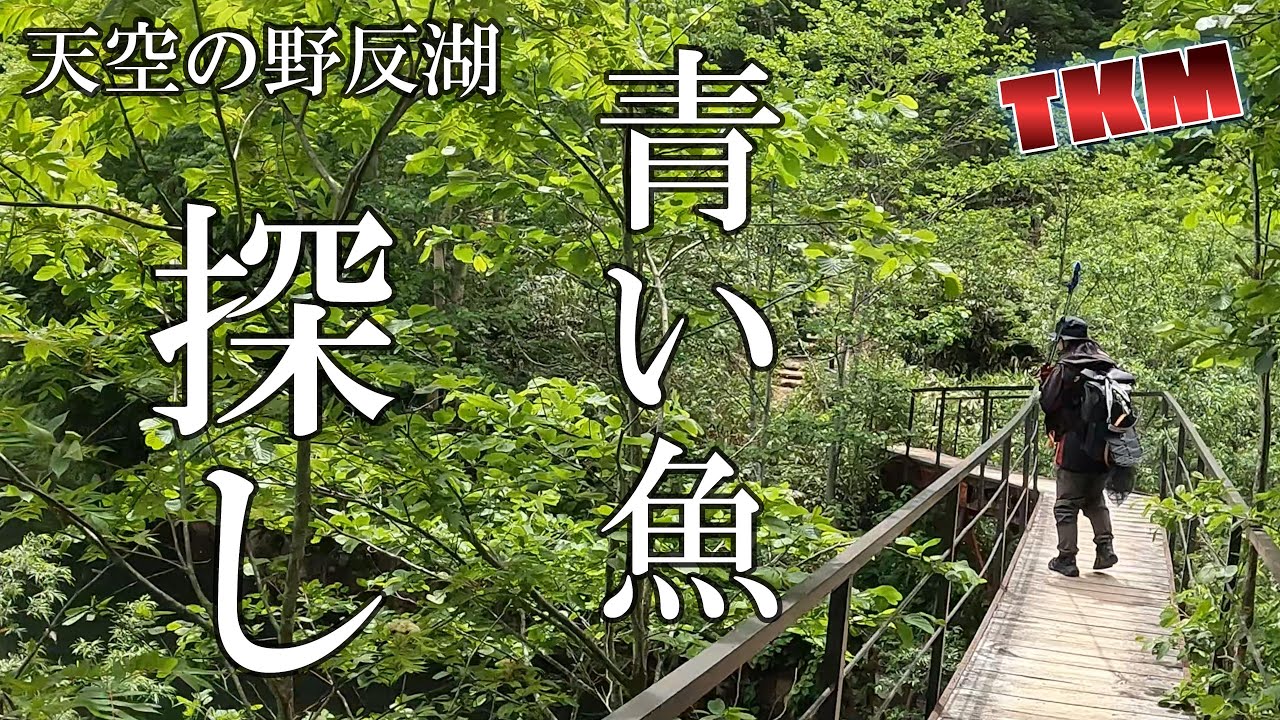 【天空の野反湖】ヒレピンの青い魚を探しに   🎣R7 6 22
