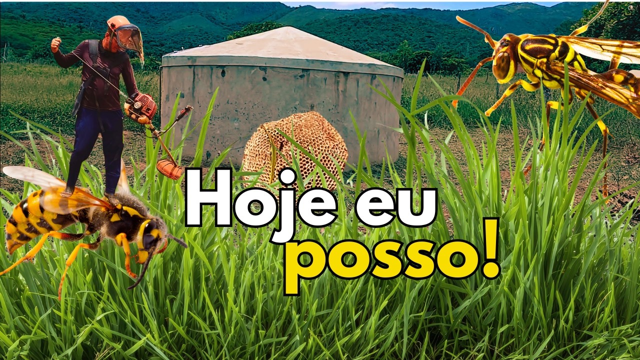 Eu, roçadeira, cisterna, mato