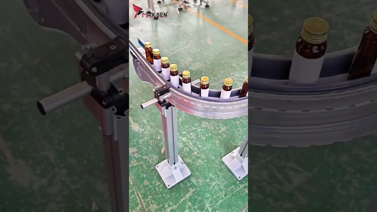 Flexible Chain Conveyor of W63mm #pharmaceutical