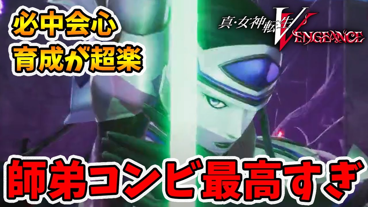 師弟コンビがかなりイイ！育成が簡単でアイコン調整しやすい【真女神転生5VENGEANCE】【naotin】