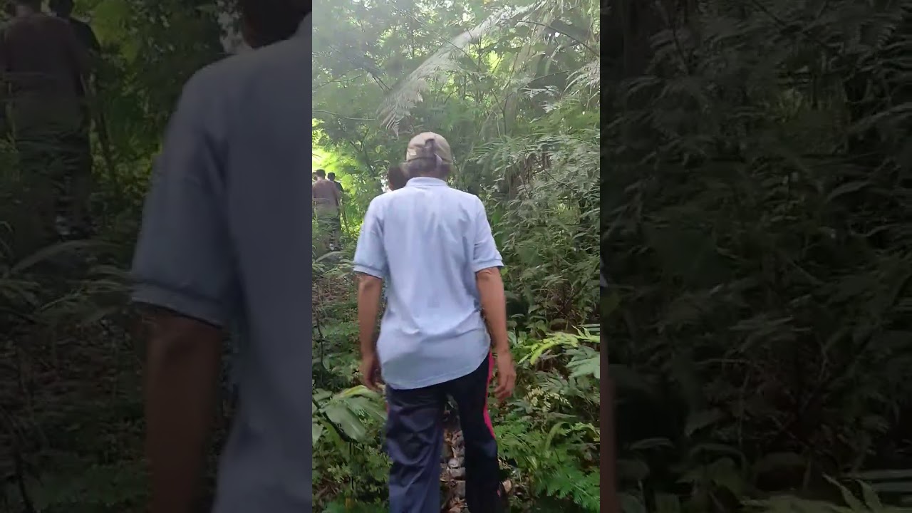 PERJALANAN MENUJU SITU GUNUNG