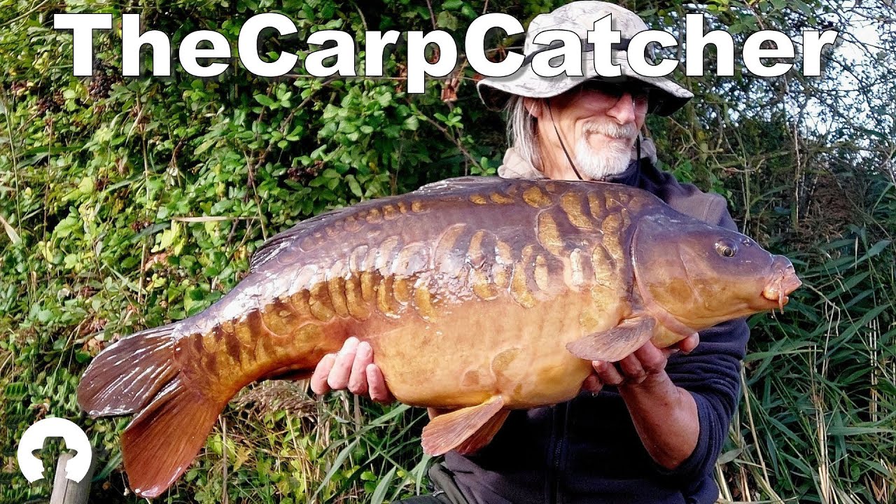 Reedy Fen - Part ten - Carp fishing