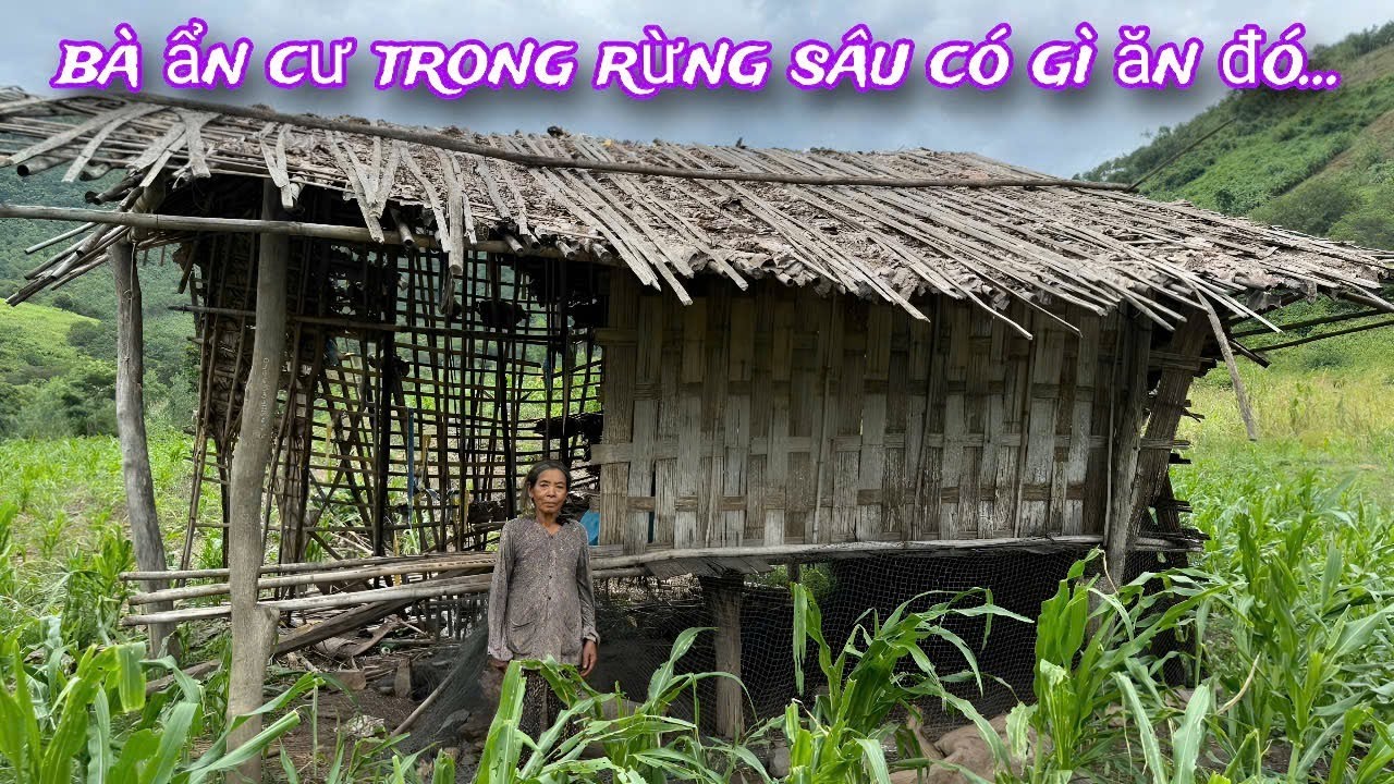 Bà dân tộc RAGLAI ẩn mình trong RỪNG sâu BẤT NGỜ gặp người LẠ không dám tiếp súc../603
