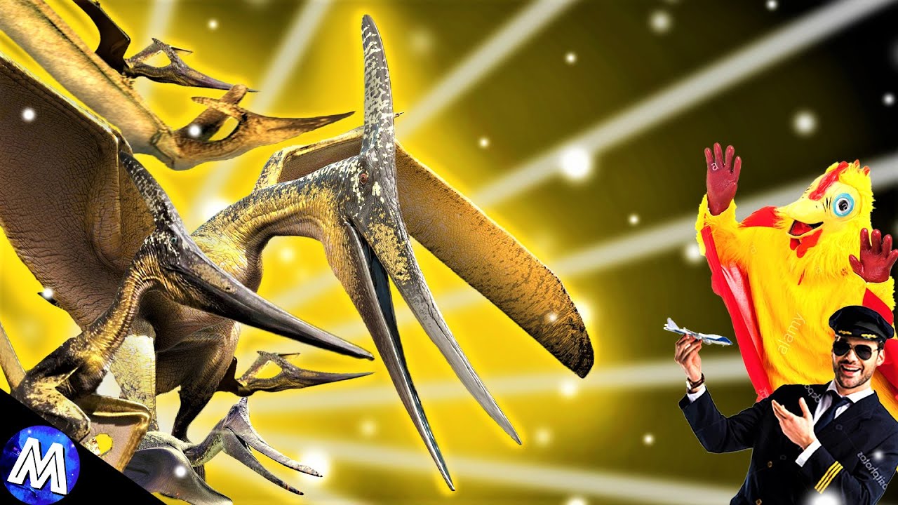 Inside the mind of a Ptera player