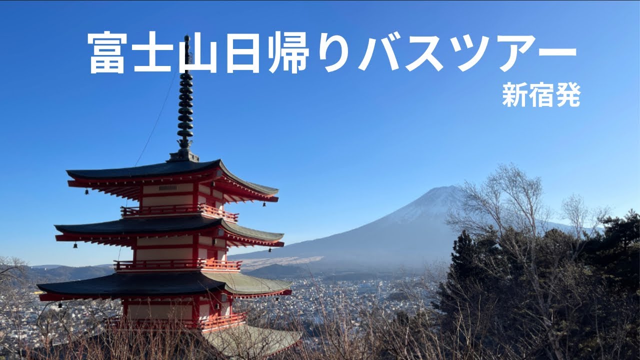 【日帰りバスツアー】富士山・忍野八海・新倉山浅間公園
