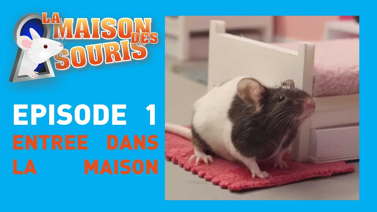 La maison des souris - Episode 1 : les souris découvrent la maison - ton émission sur CANAL+