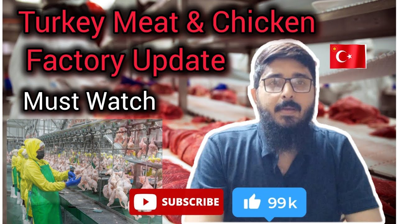 Turkey Chicken and Meat Factory Update #turkey  #travel #turkeyvisa #turkeychicken