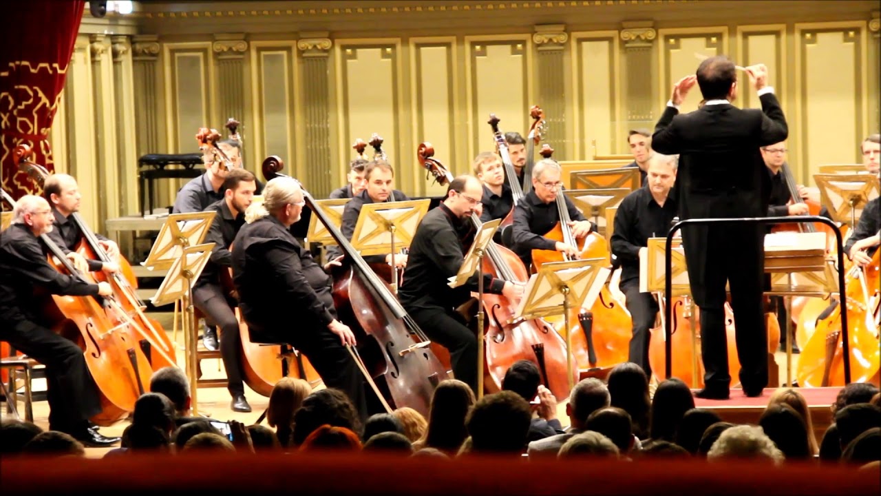 Passione Amorosa- PETRU IUGA, CĂTĂLIN ROTARU, SĂNDEL SMĂRĂNDESCU, WOLFGANG GÜTTLER