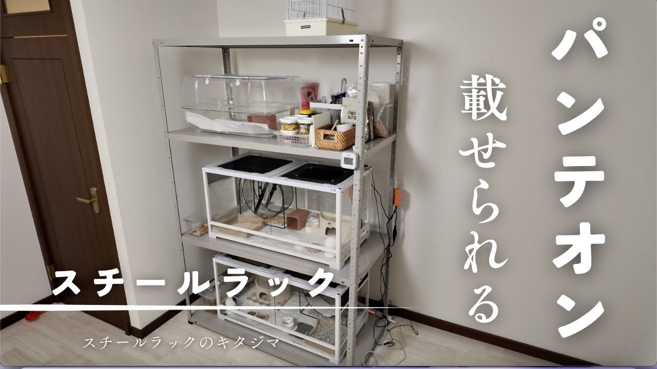 【スチールラック】パンテオン9045が載せられるスチールラック【ハリネズミのケージ】