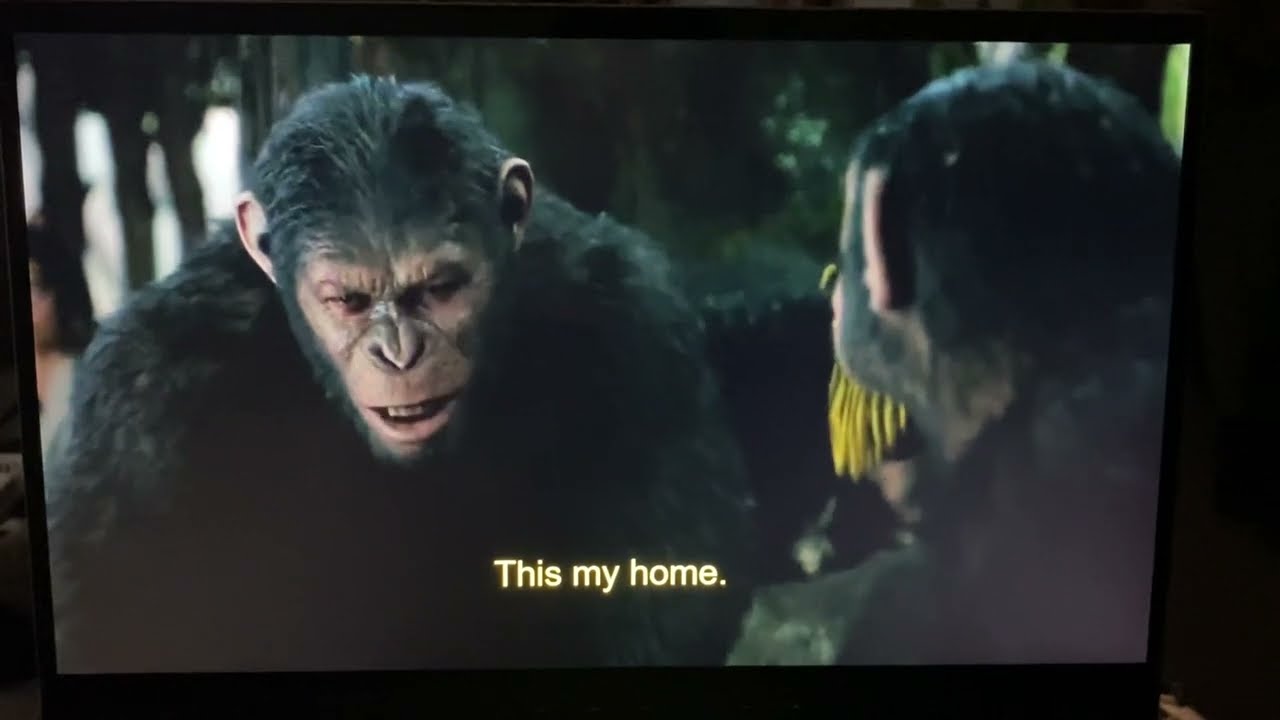 Dawn of the Planet of the Apes (2014) Clip Malcolm Apologizes to Caesar/Help Cornelia