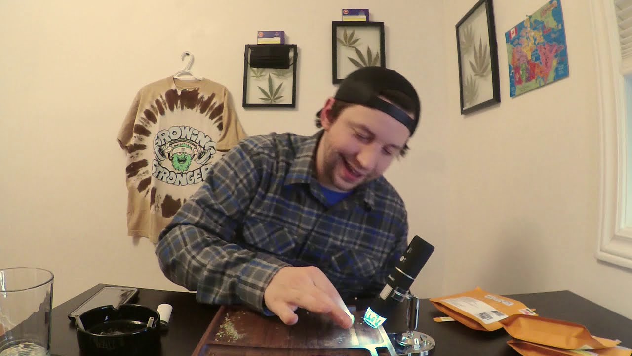 Three&rsquo;s Company Review with Carmel Cannabis ( Educational/Consumer Awareness)