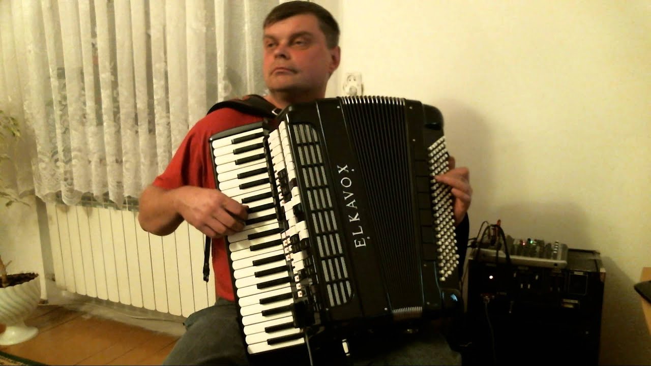 Biełyje rozy, Белые розы - akordeon cover