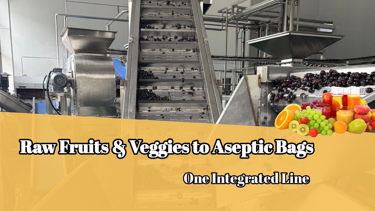 Complete Fruit & Vegetable Processing Line | Full Turnkey Solution for Juice & Puree Production