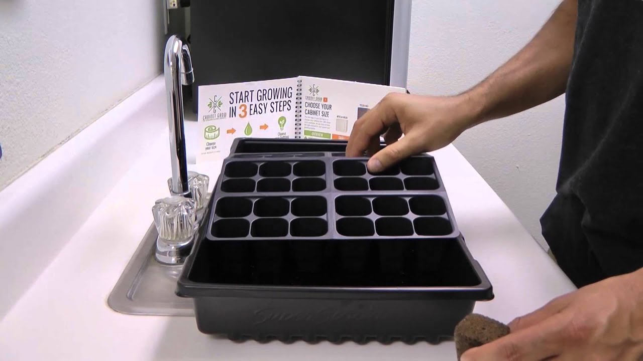 Cabinet Grow - Starting seedlings in your Grow Box!
