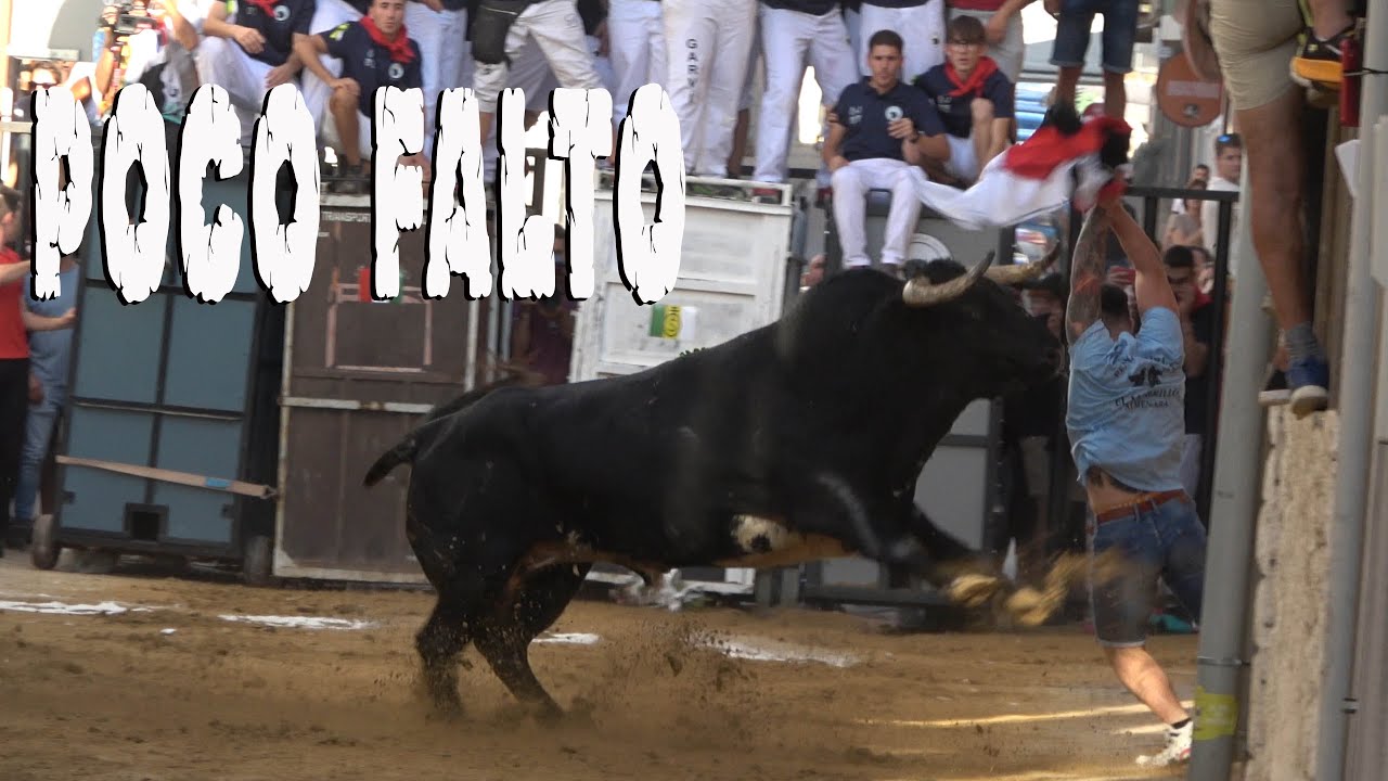 ALMENARA TOROS DE GERARDO ORTEGA