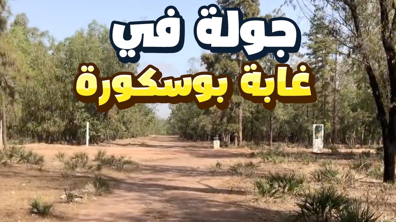 جولة في غابة بوسكورة - Vlog forêt de Bouskoura 2023