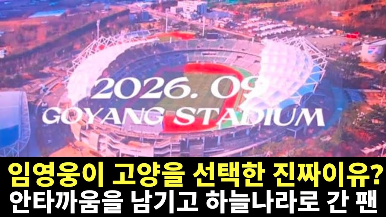 임영웅이 고양을 선택한 진짜 이유? 장기 기증하고 하늘나라로 간 환경미화원의 안타까운 사연,