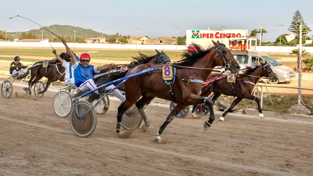 Gran Premio de Manacor 2025 🏆 | Homenaje al Campeón