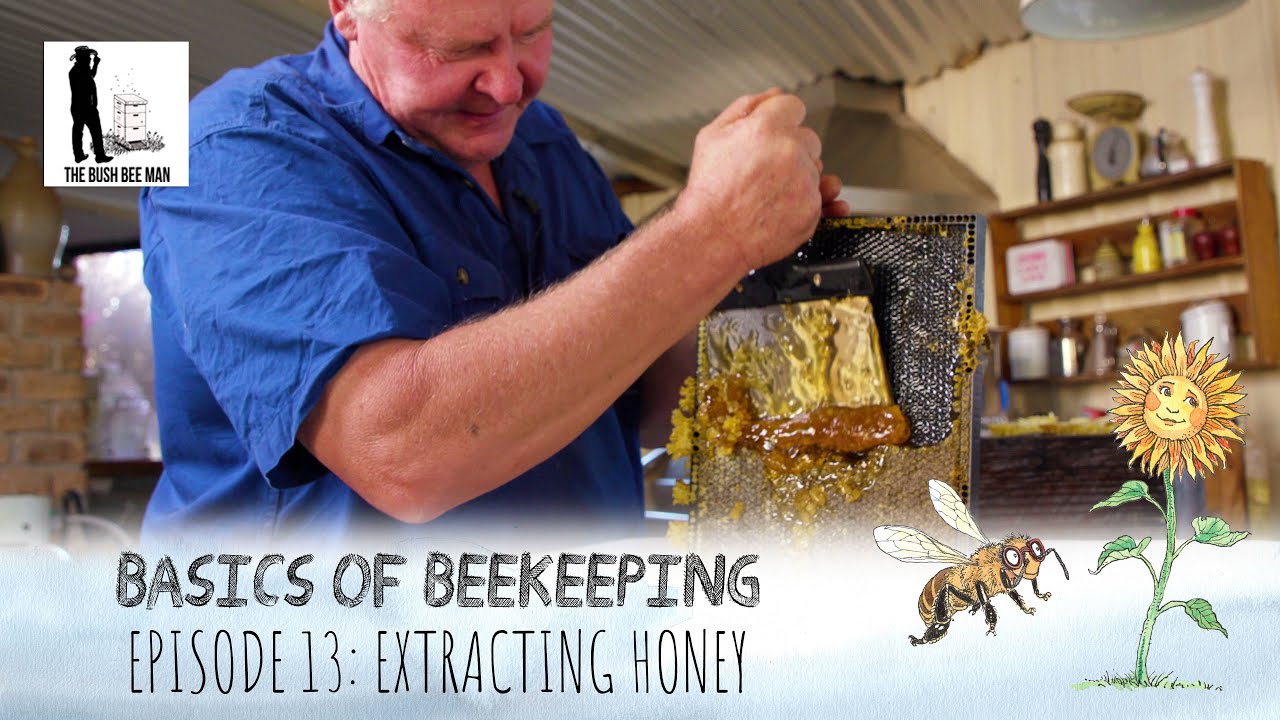 Как добыть мёд без медогонки | The Bush Bee Man