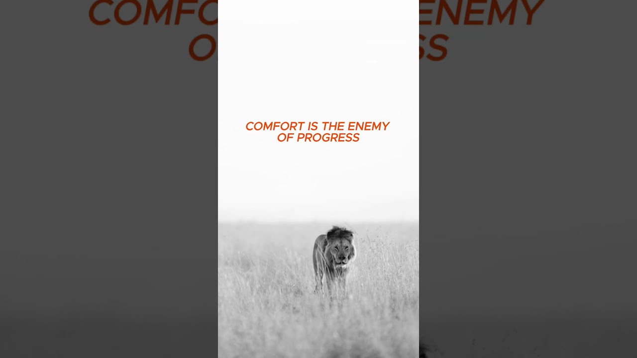 Comfort is Killing your Progress / RiseMode