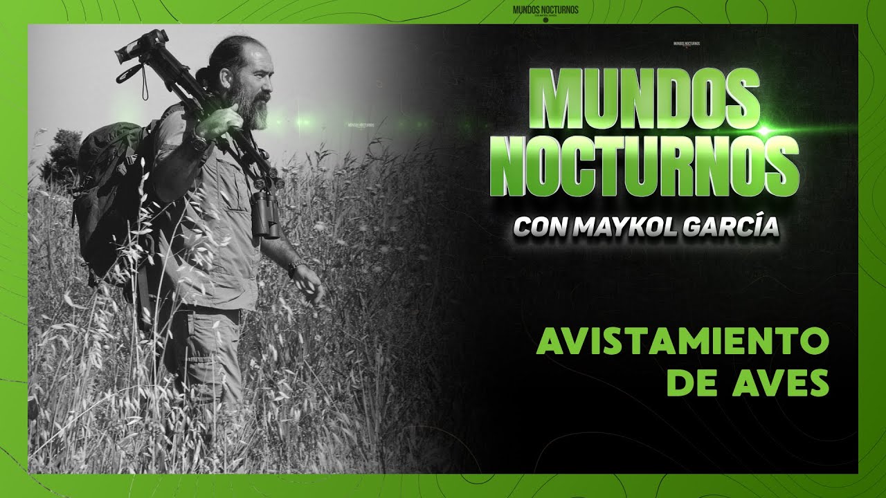 AVISTAMIENTO DE AVES