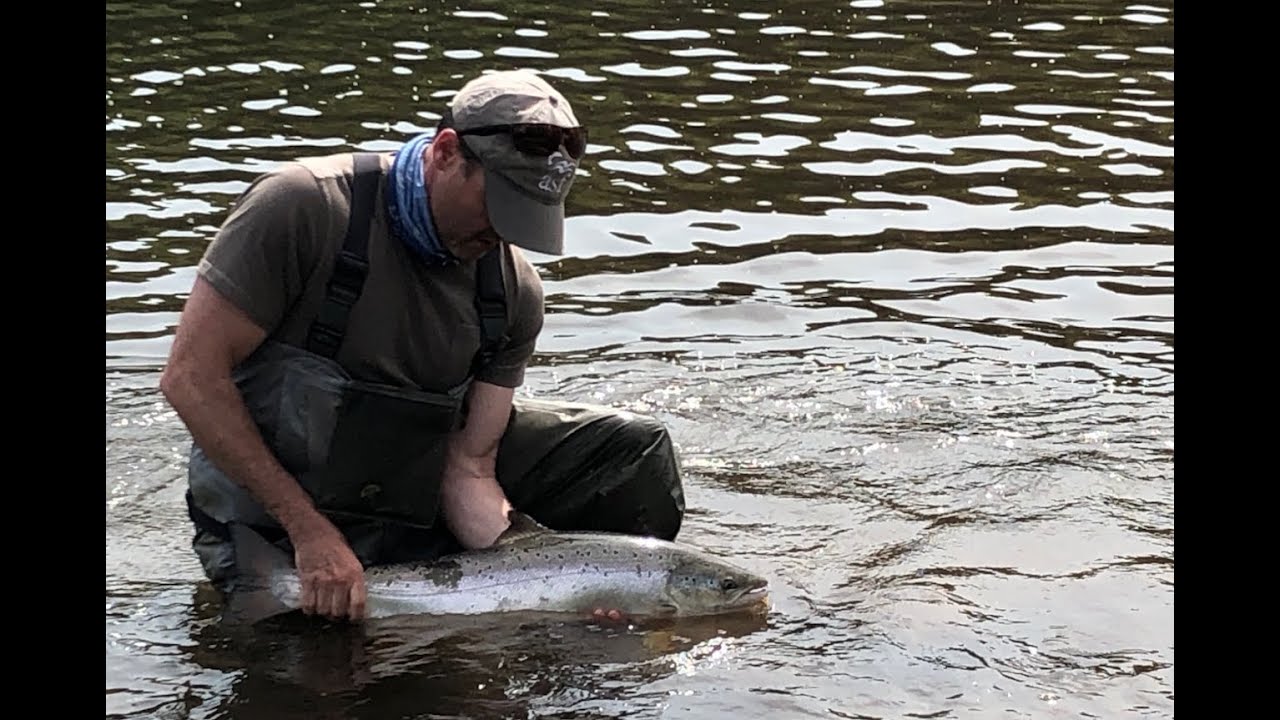 Part Two 2019 Margaree River Atlantic Salmon Fly Fishing