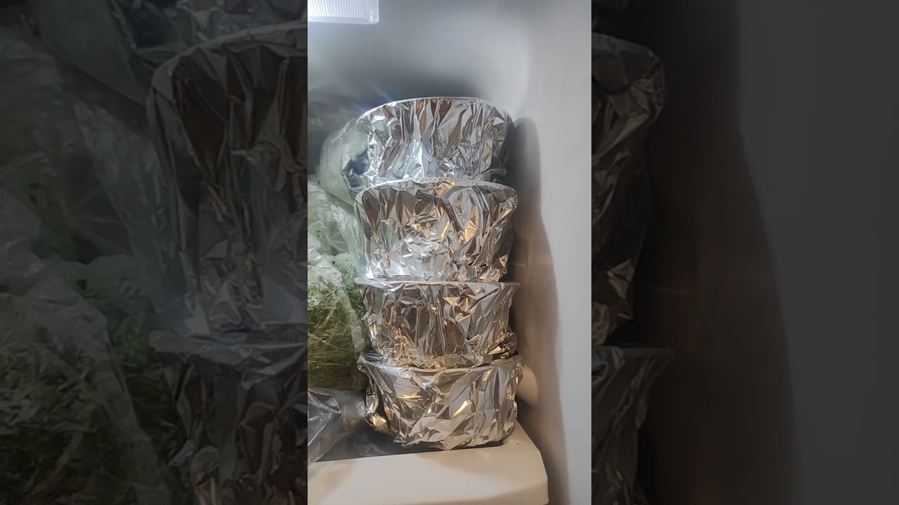 Scorta del rag&ugrave; pronto fatta 🧑&zwj;🍳