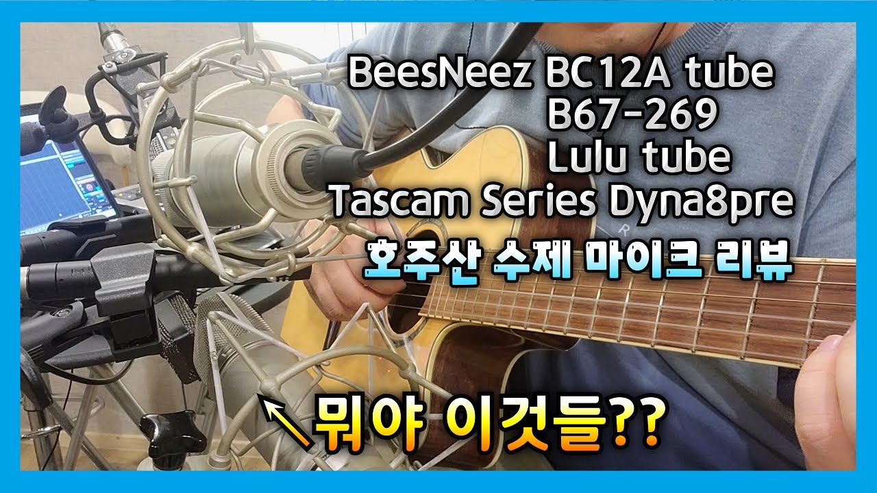 BeesNeez BC12A,B67-269,Lulu Tube,Tascam Series 8p Dyna 리뷰