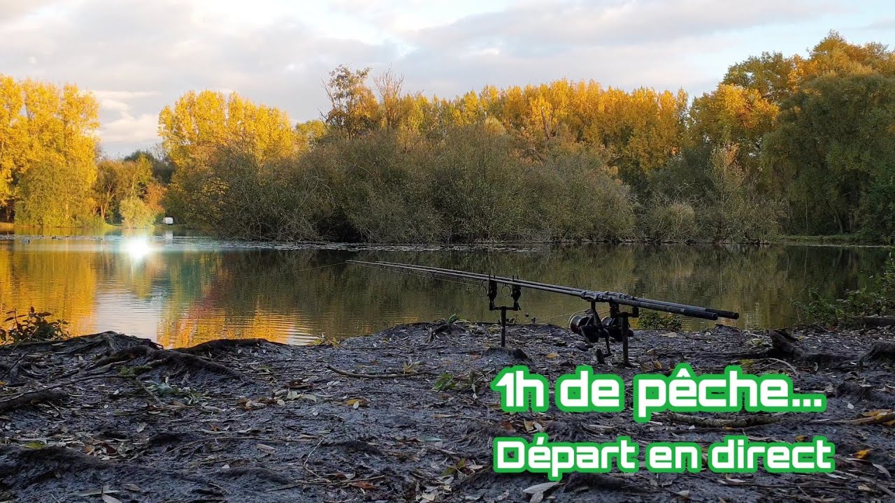 Encore une pêche ultra rapide.. (Pêche à la carpe)