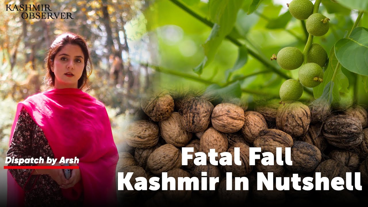 Fatal Fall - Kashmir In Nutshell | Kashmir Observer