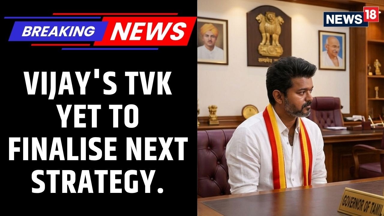 Amid Buzz Over AIADMK-DMK Alliance Talks, Vijay's TVK Yet To Finalise Next Strategy. | News18