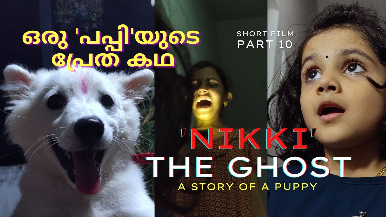 നിക്കി എന്ന യക്ഷി - ഒരു കോമഡി പ്രേതകഥ | 'Nikki' The Ghost | Comedy Short Film | Part 10