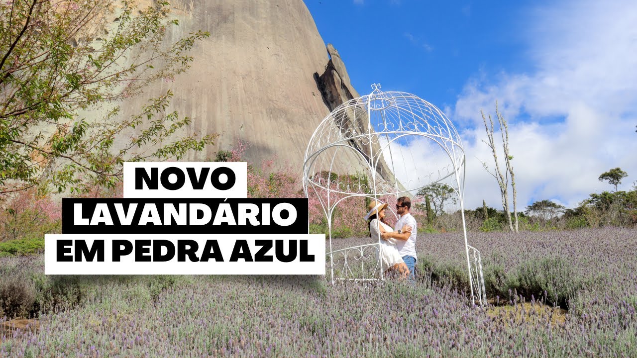 Novo Lavandário aos Pés da Pedra Azul: Uma Jornada Sensorial em Domingos Martins, Espírito Santo