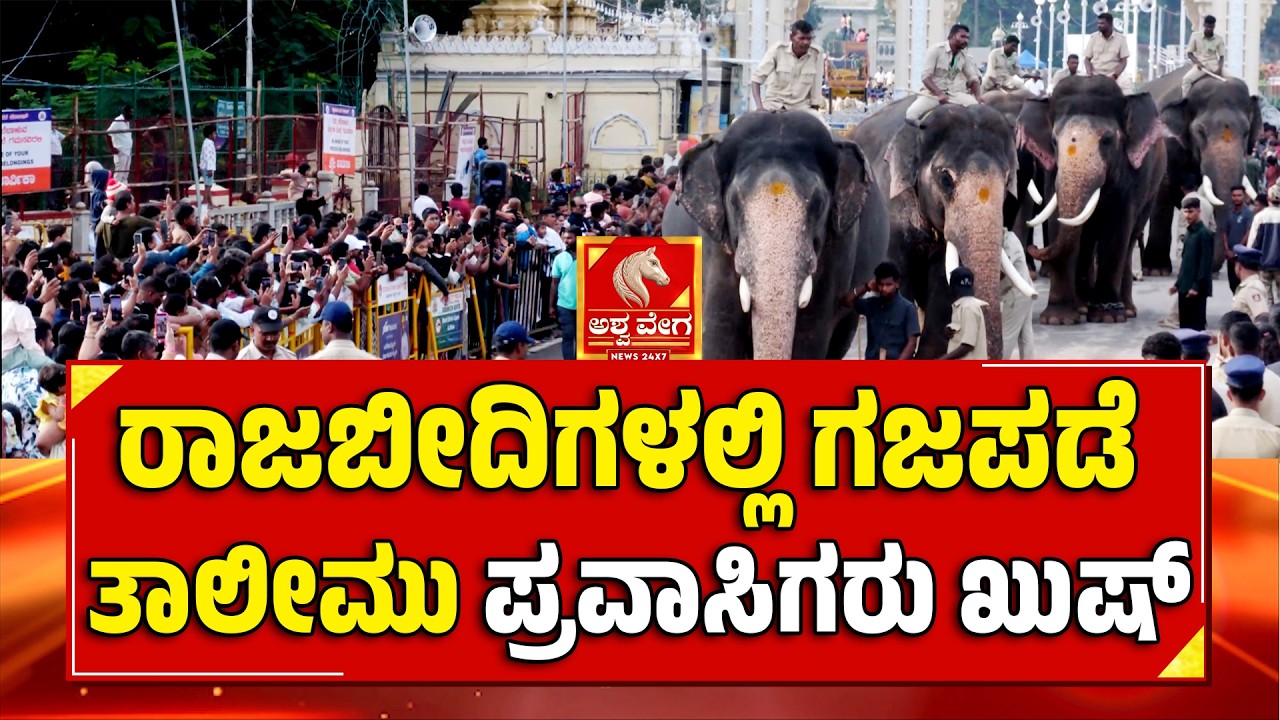 Mysuru Dasara:  Elephant Rehearsal| ರಾಜಭೀದಿಗಳಲ್ಲಿ ಗಜಪಡೆ ತಾಲೀಮು: ಪ್ರವಾಸಿಗರು ಖುಷ್| Ashwaveega News