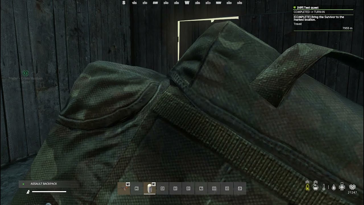 DayZ 2026 01 31   12 34 05 02