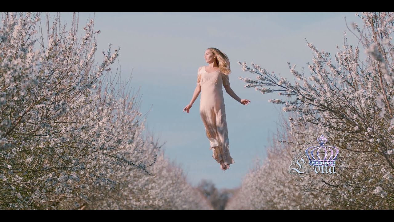 Stive Morgan "THE VALLEYS OF DREAMS" ♔LONA