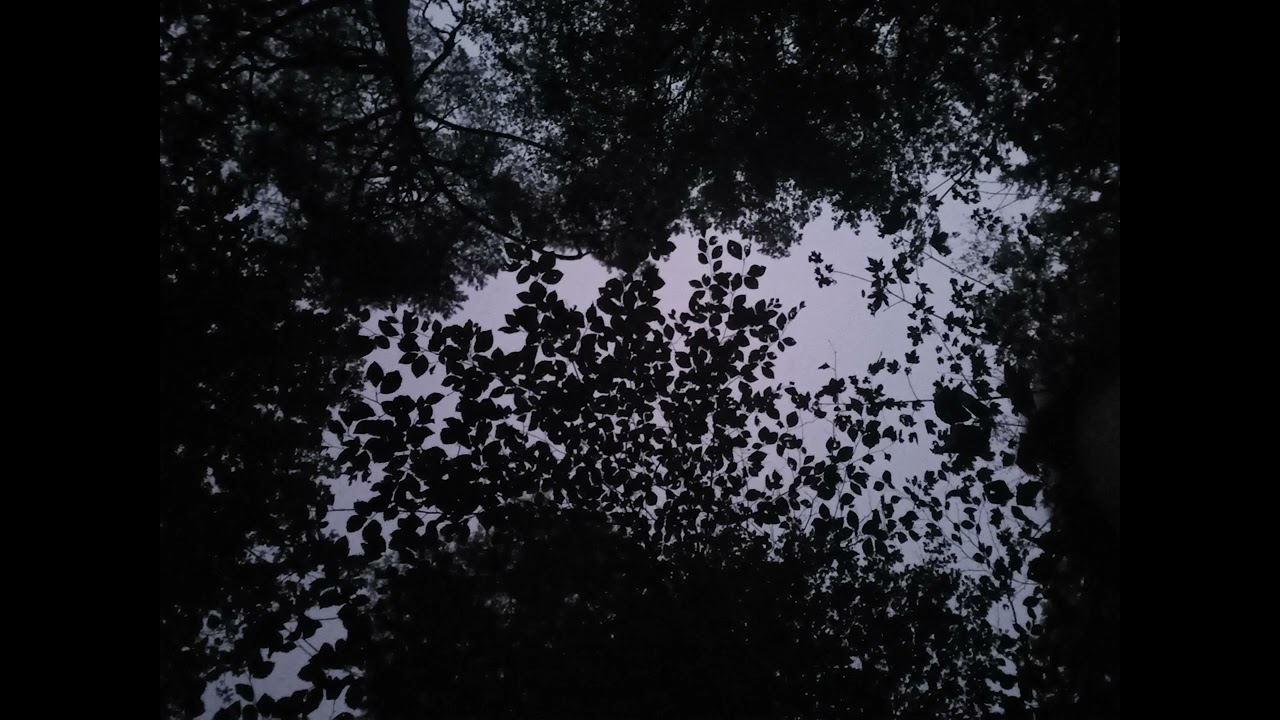 d3formation - Meditation Loop II: Nachthimmel