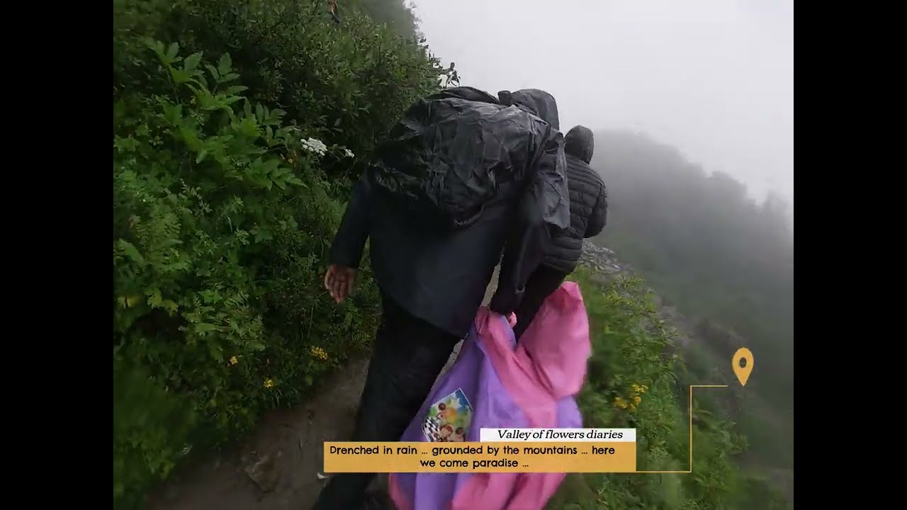 Valley of Flowers | Hiking through the lush green forest of Uttarakhand | Moonsoon Trek |  Part 1