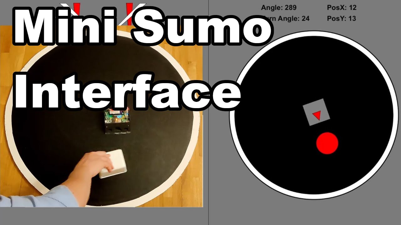 Mini Sumo Interface