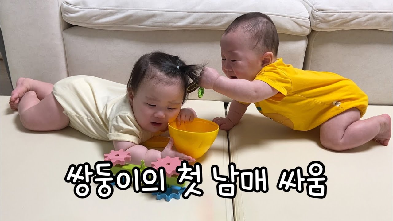 아기 쌍둥이 싸움.. 너네도 결국 현실 남매구나🫠