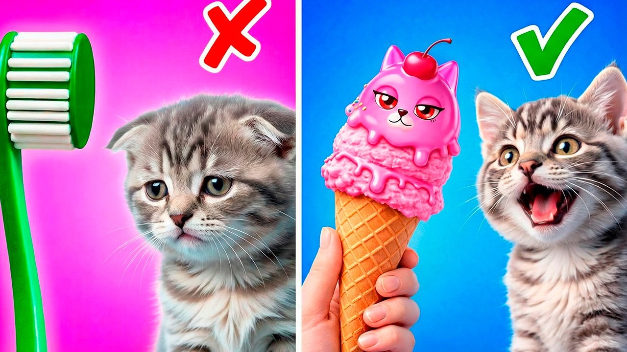 🐾Hilarious Cat Reactions to Viral TikTok Trends Unleashed By Resting Purr Face💩