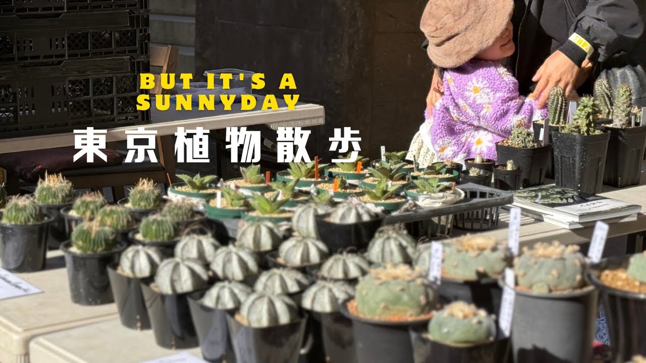 東京植物散歩〜珍奇植物爆買い再び！inボタニカル横丁〜サボテン、ユーフォルビア、ボタ横でまた買い過ぎた！